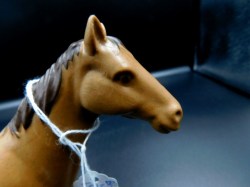 broder brown horse view